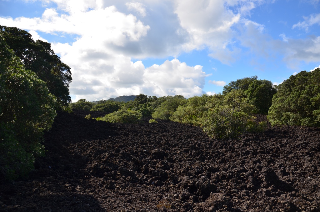 2017-03 New Zealand/Rangitoto/DSC_0140.JPG